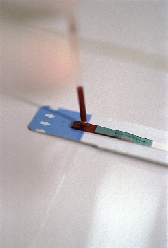 crisis intervention for hiv positive diagnosis Priority interventions hiv/aids prevention, treatment and care in the health sector 2010. crisis intervention for hiv positive diagnosis Priority interventions hiv/aids prevention, treatment and care in the health sector 2010.