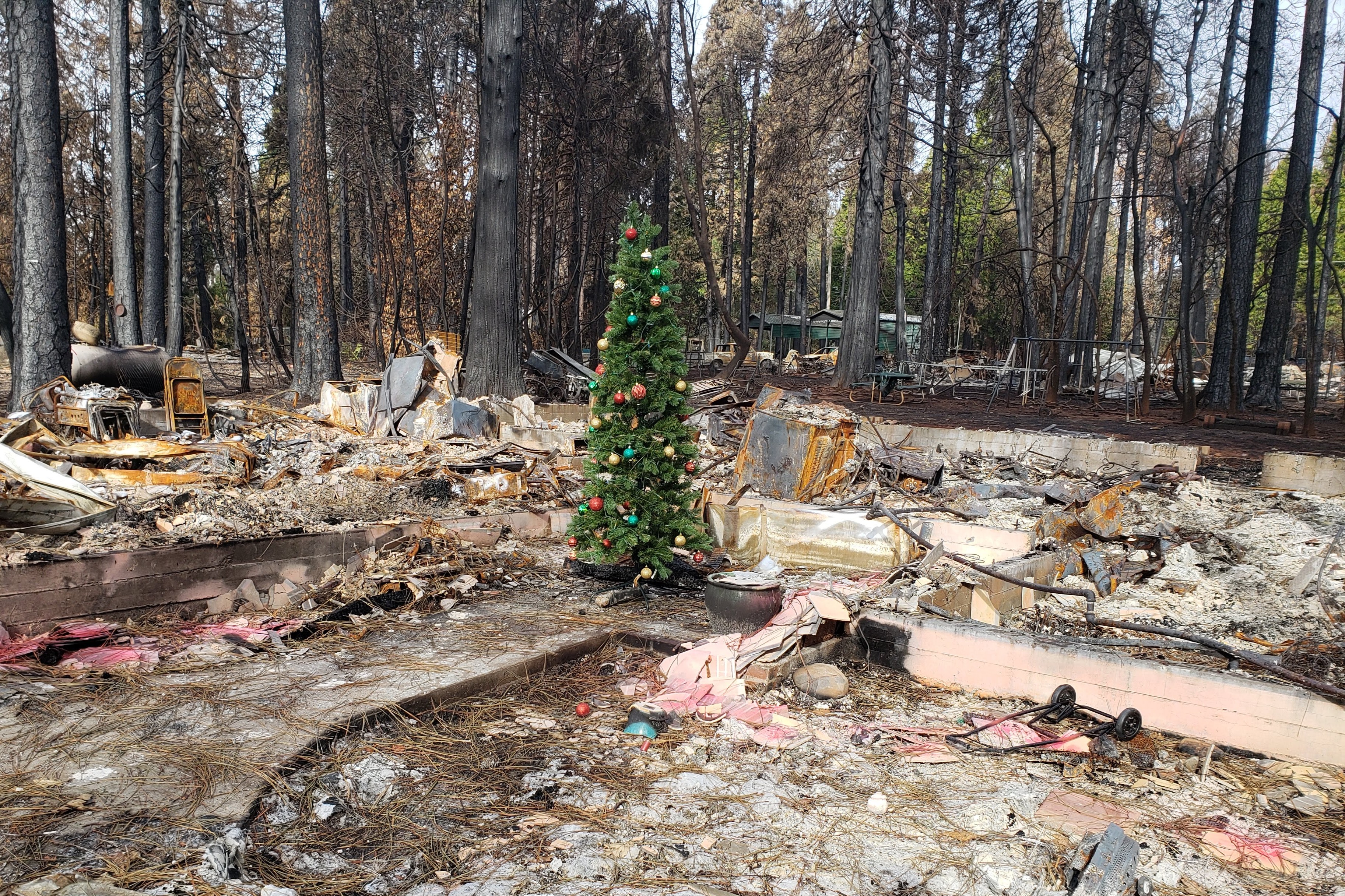 Camp Fire Christmas Tree