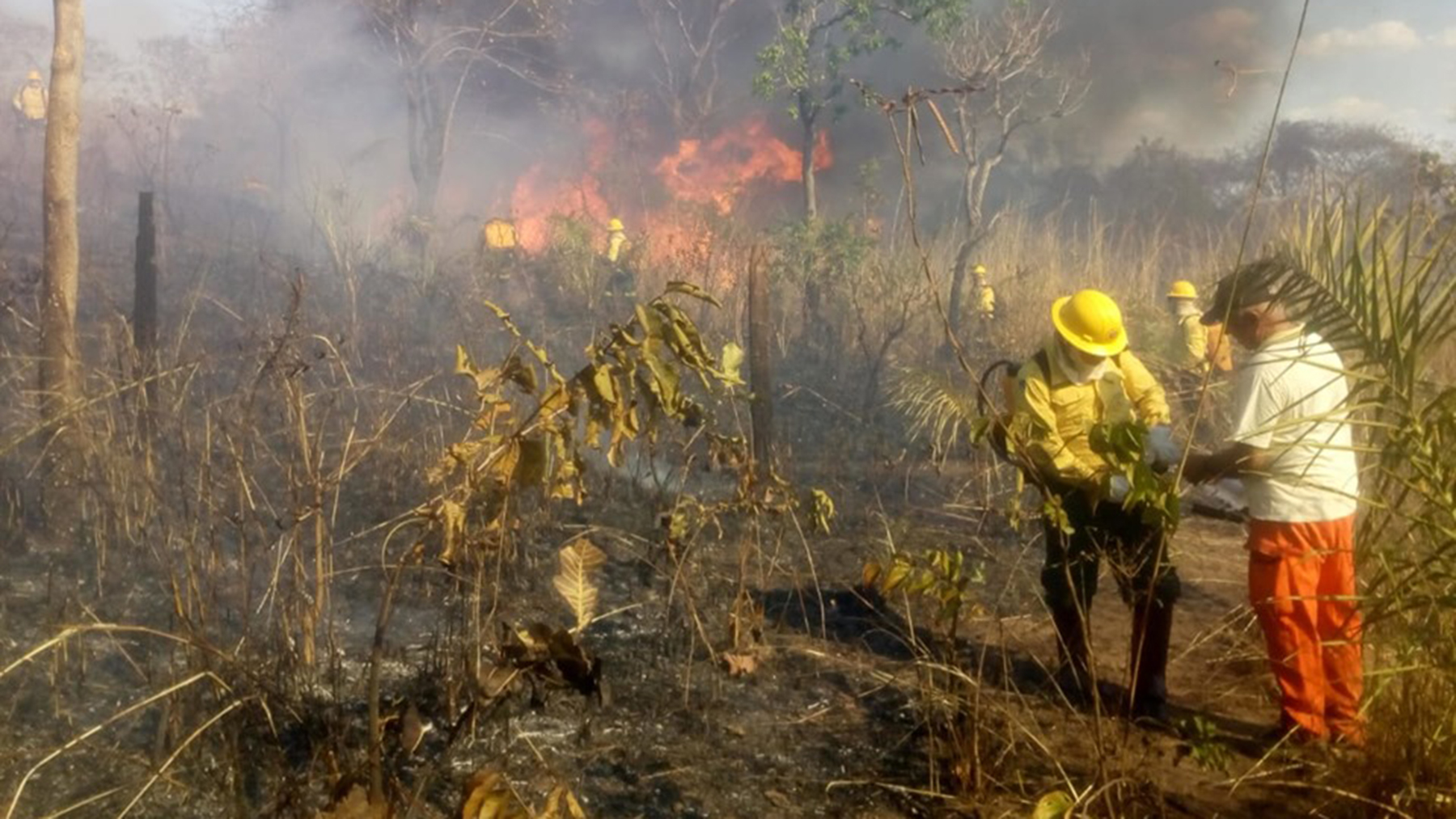 For People In The Amazon Long Term Health Risks Loom For People In The Amazon Long Term Health Risks Loom