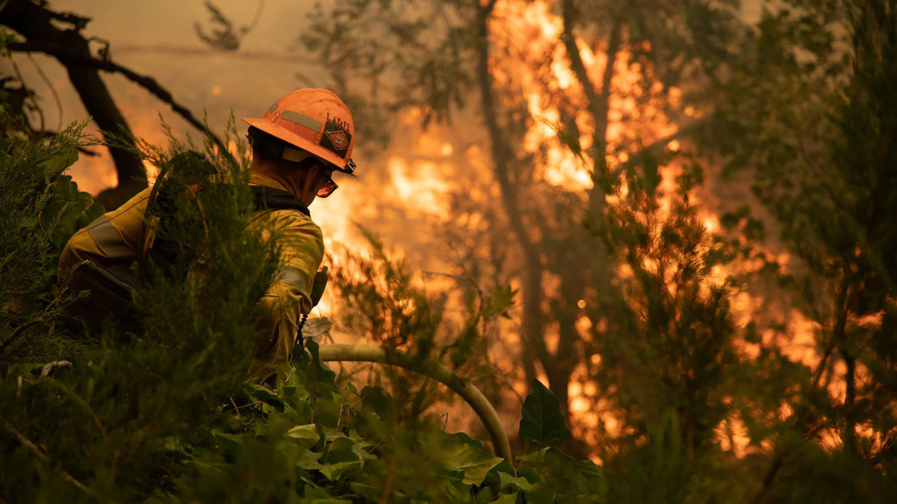 As disasters become more frequent and more intense, technology can be a tool to coordinate response. California's wildfires, as seen here in the San Bernardino mountains in Sept., 2020, are an example of extreme weather events that prompt protracted disaster responses.(Photo courtesy of San Bernardino County Fire Department)
