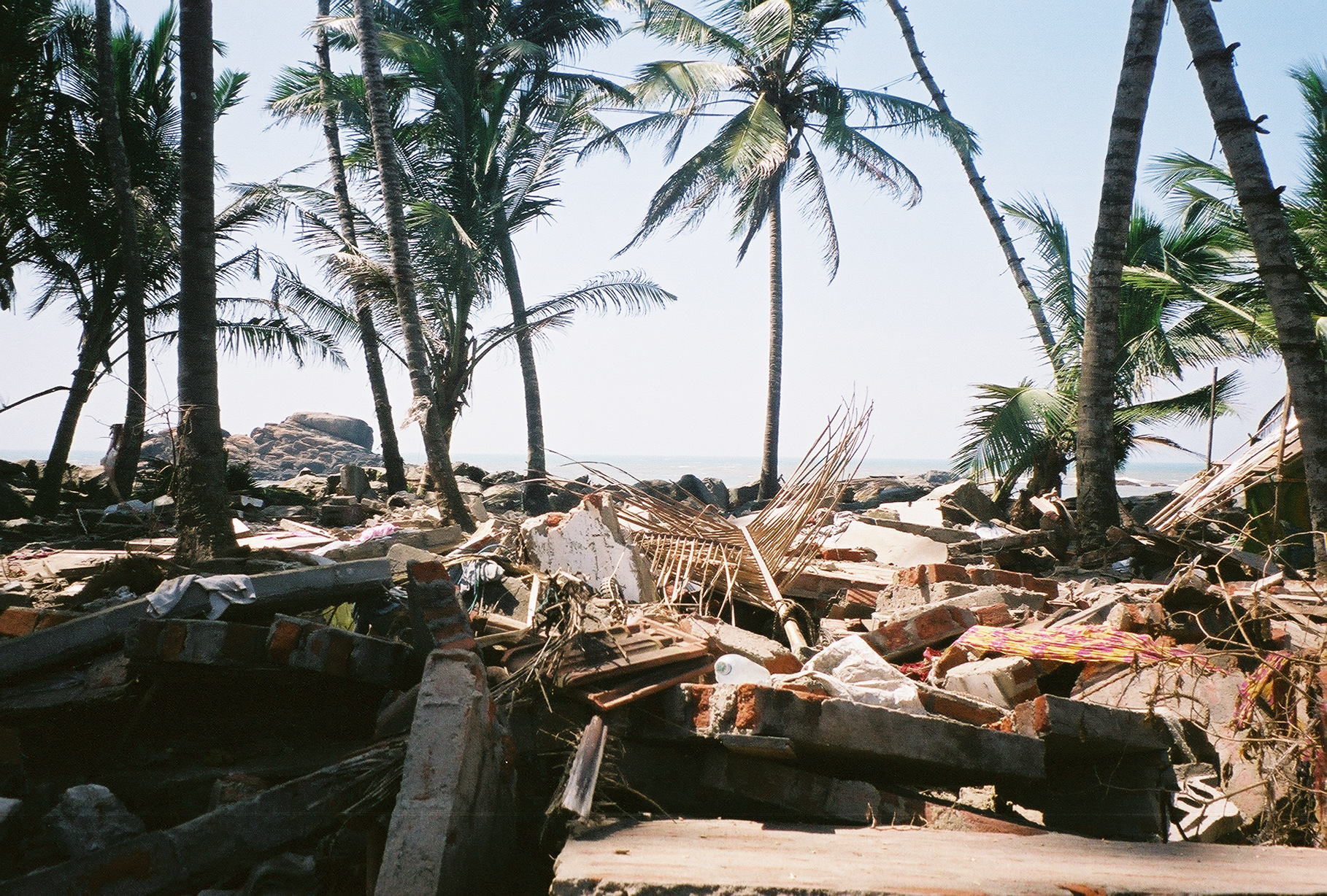 После цунами в шри ланка